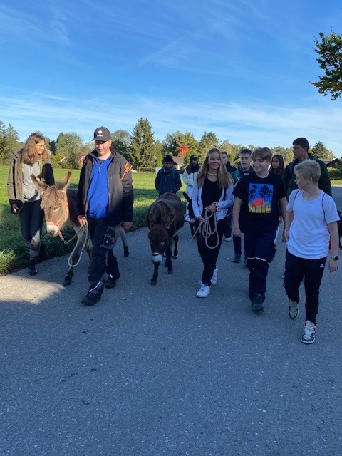 Die Klasse 8 b auf Eselwanderung